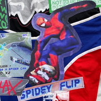 THPS2: Spidey 1/1 - L/XL